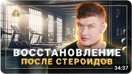 Отзыв видео интервью о Синтезите