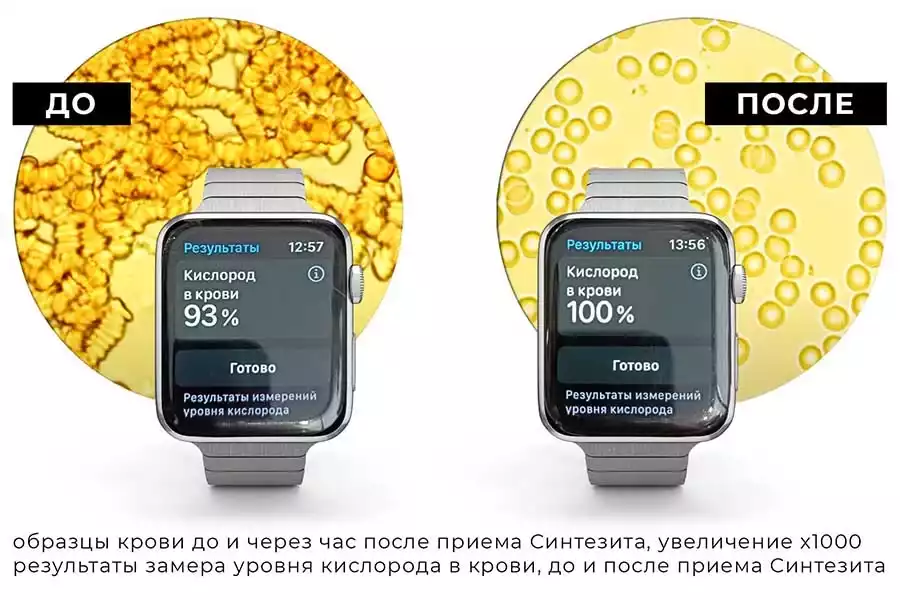 влияние Синтезита на кровь
