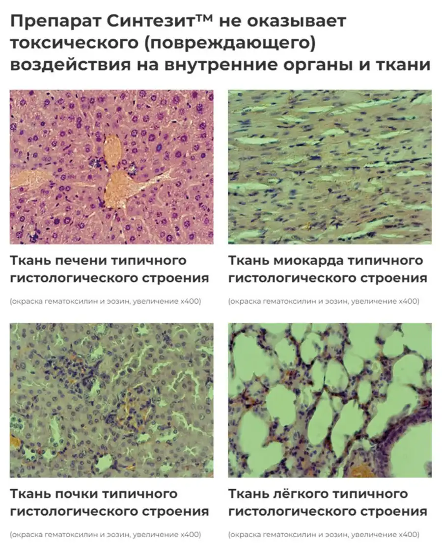 Синтезит не оказывает тоесического возждействия на органы и ткани